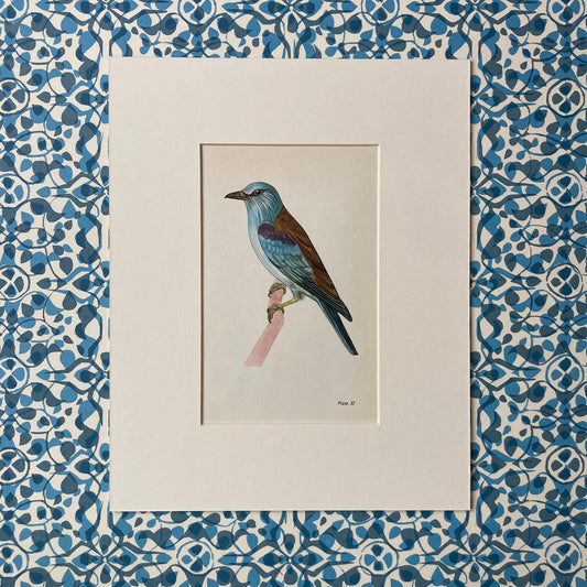 1960s Blue Roller Mounted Print ~ 8 x 10"