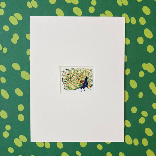 1950s Peacock Mounted Print ~ 8 x 6"