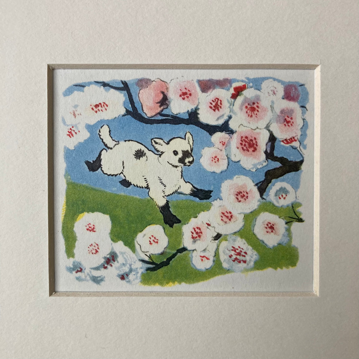 1950s Spring Lamb Mounted Print ~ 8 x 6"