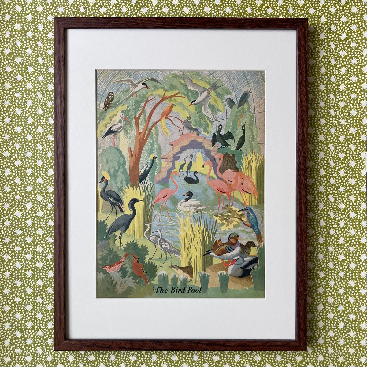 1950s Bird Pool Mounted Print ~ 30 x 40cm