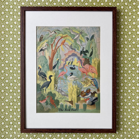 1950s Bird Pool Mounted Print ~ 30 x 40cm