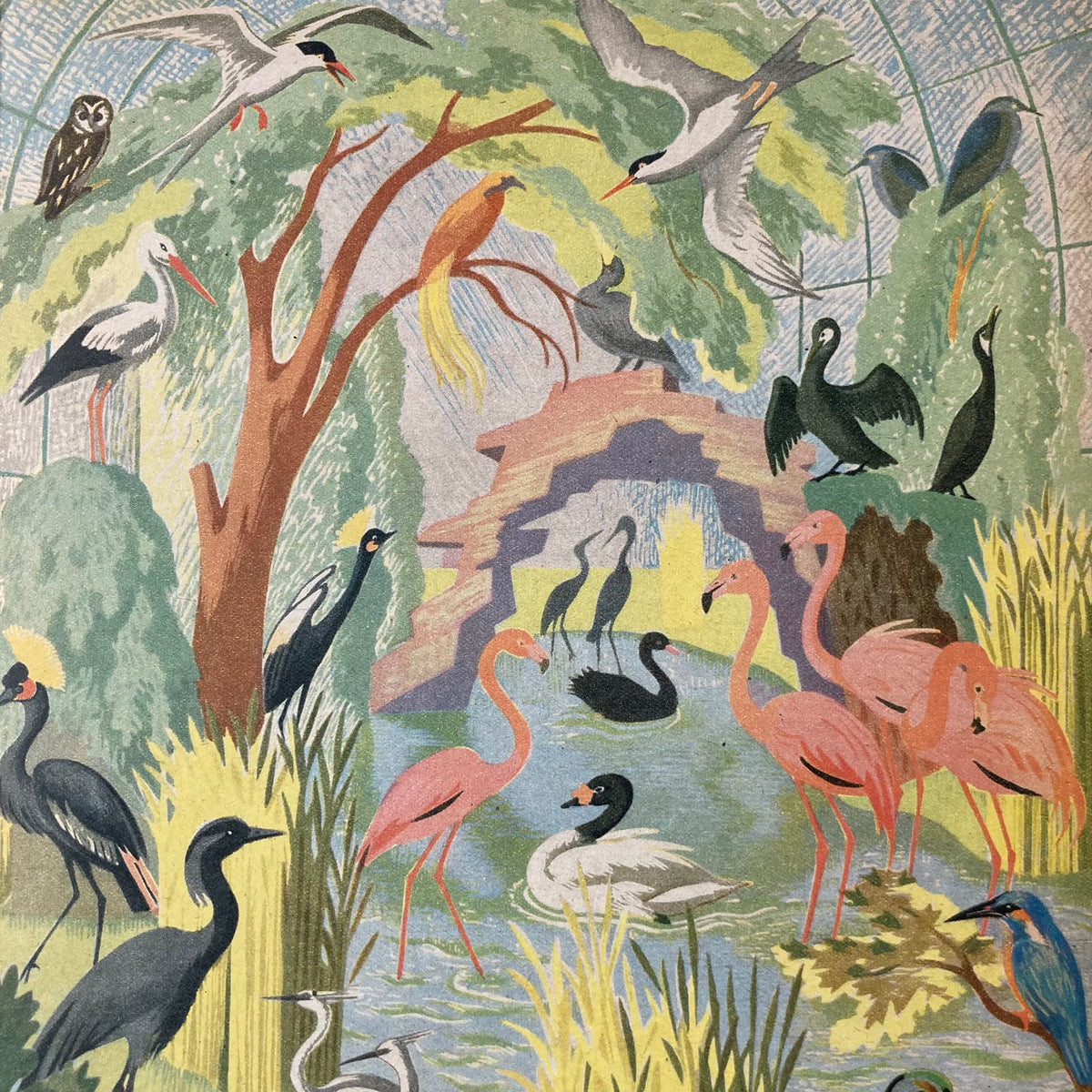 1950s Bird Pool Mounted Print ~ 30 x 40cm