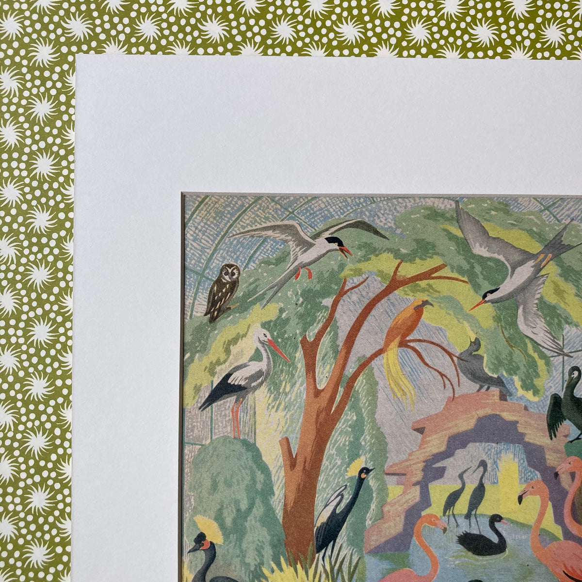 1950s Bird Pool Mounted Print ~ 30 x 40cm