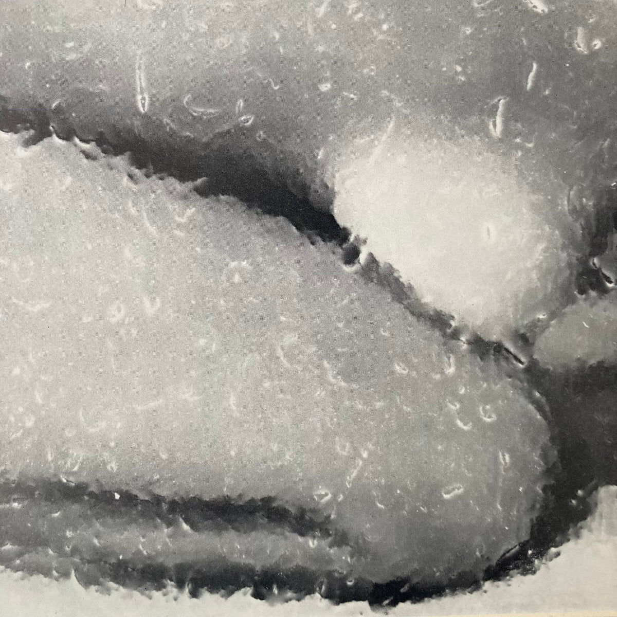 1970s Frosted Glass Nude Mounted Print ~ 11 x 14"