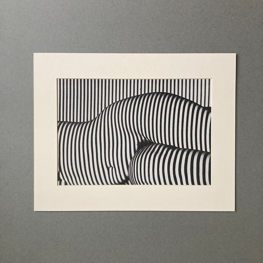 1970s Stripe Light Nude Mounted Print ~ 11 x 14"