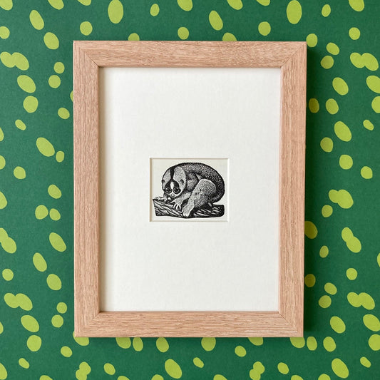 1960s Slow Loris Mounted Print ~ 8 x 6"