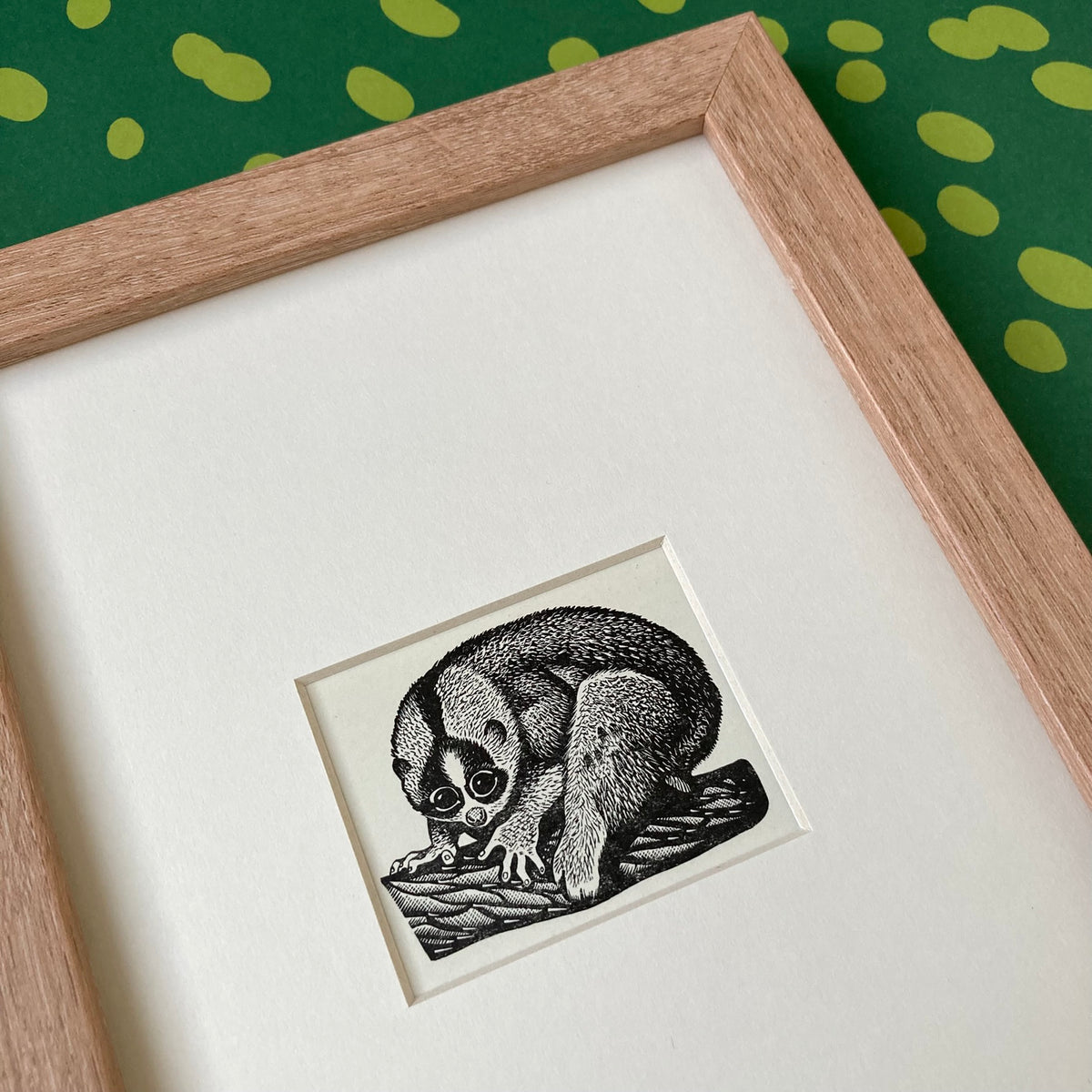 1960s Slow Loris Mounted Print ~ 8 x 6"