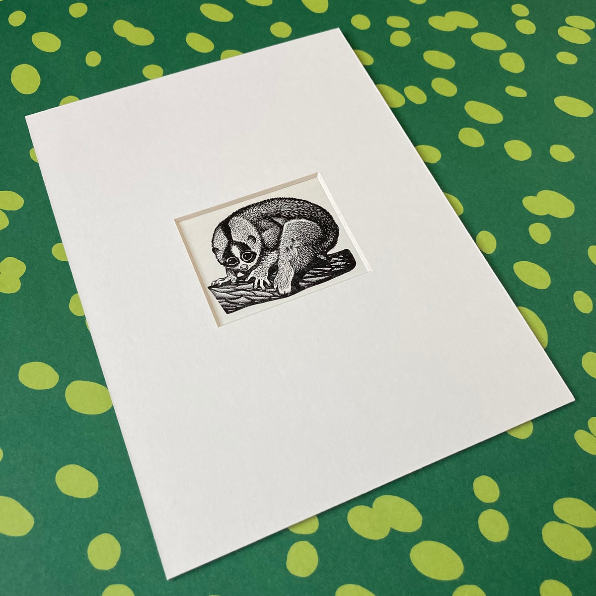 1960s Slow Loris Mounted Print ~ 8 x 6"