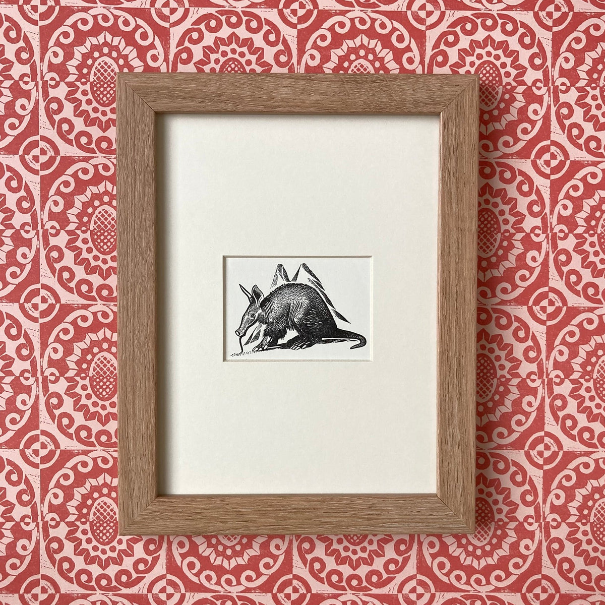 1960s Anteater Mounted Print ~ 8 x 6"