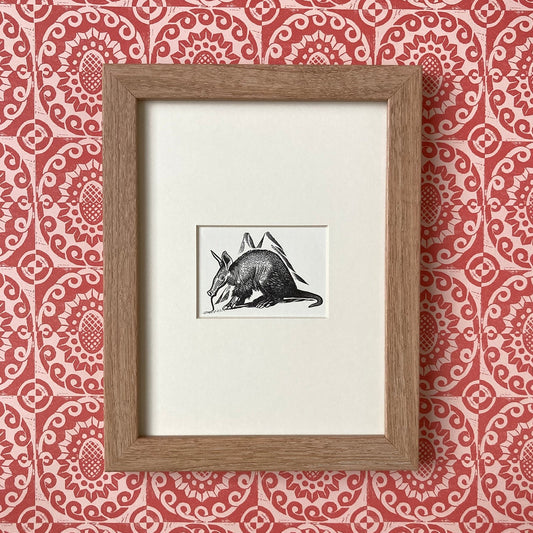 1960s Anteater Mounted Print ~ 8 x 6"