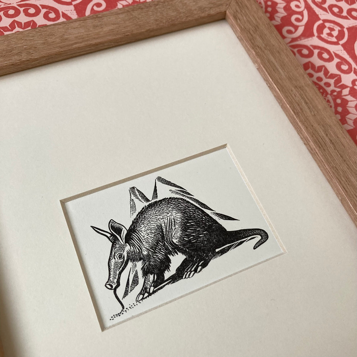 1960s Anteater Mounted Print ~ 8 x 6"
