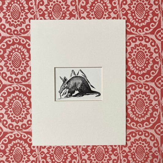 1960s Anteater Mounted Print ~ 8 x 6"