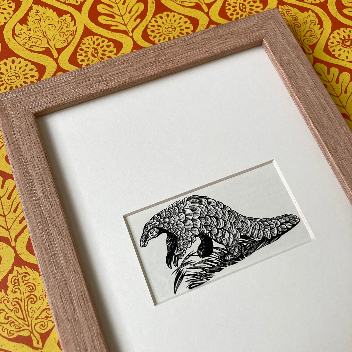 1960s Pangolin Mounted Print ~ 8 x 6"