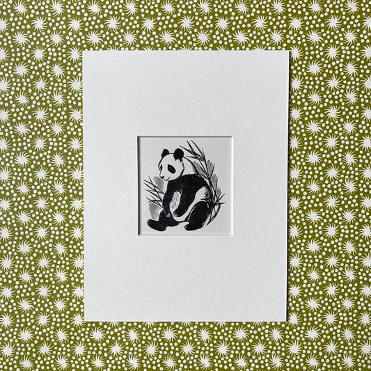 1960s Panda Bear Mounted Print ~ 8 x 6"