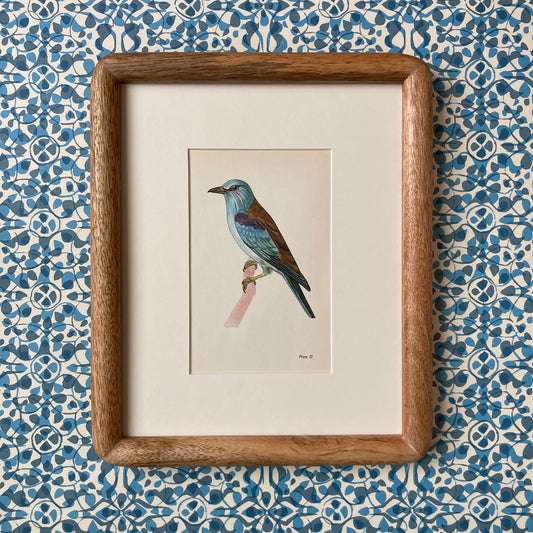 1960s Blue Roller Mounted Print ~ 8 x 10"