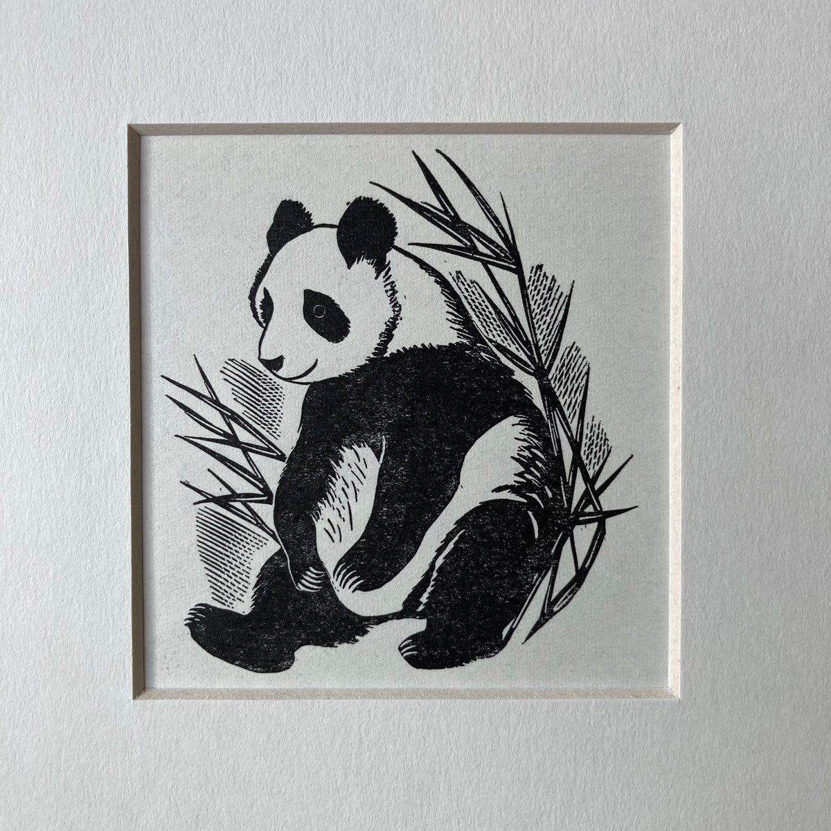 1960s Panda Bear Mounted Print ~ 8 x 6"