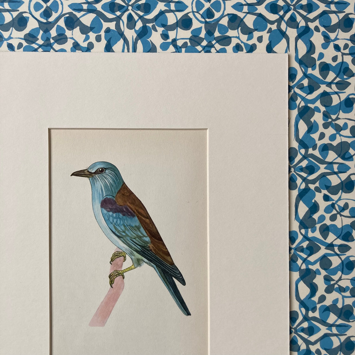 1960s Blue Roller Mounted Print ~ 8 x 10"