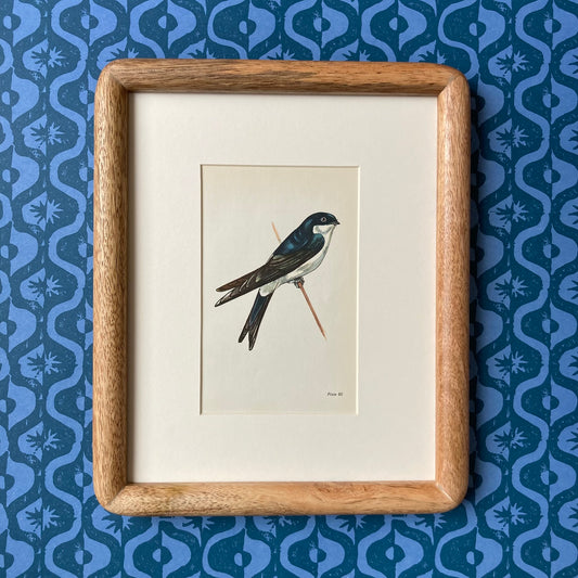 1960s House Martin Mounted Print ~ 10 x 12"