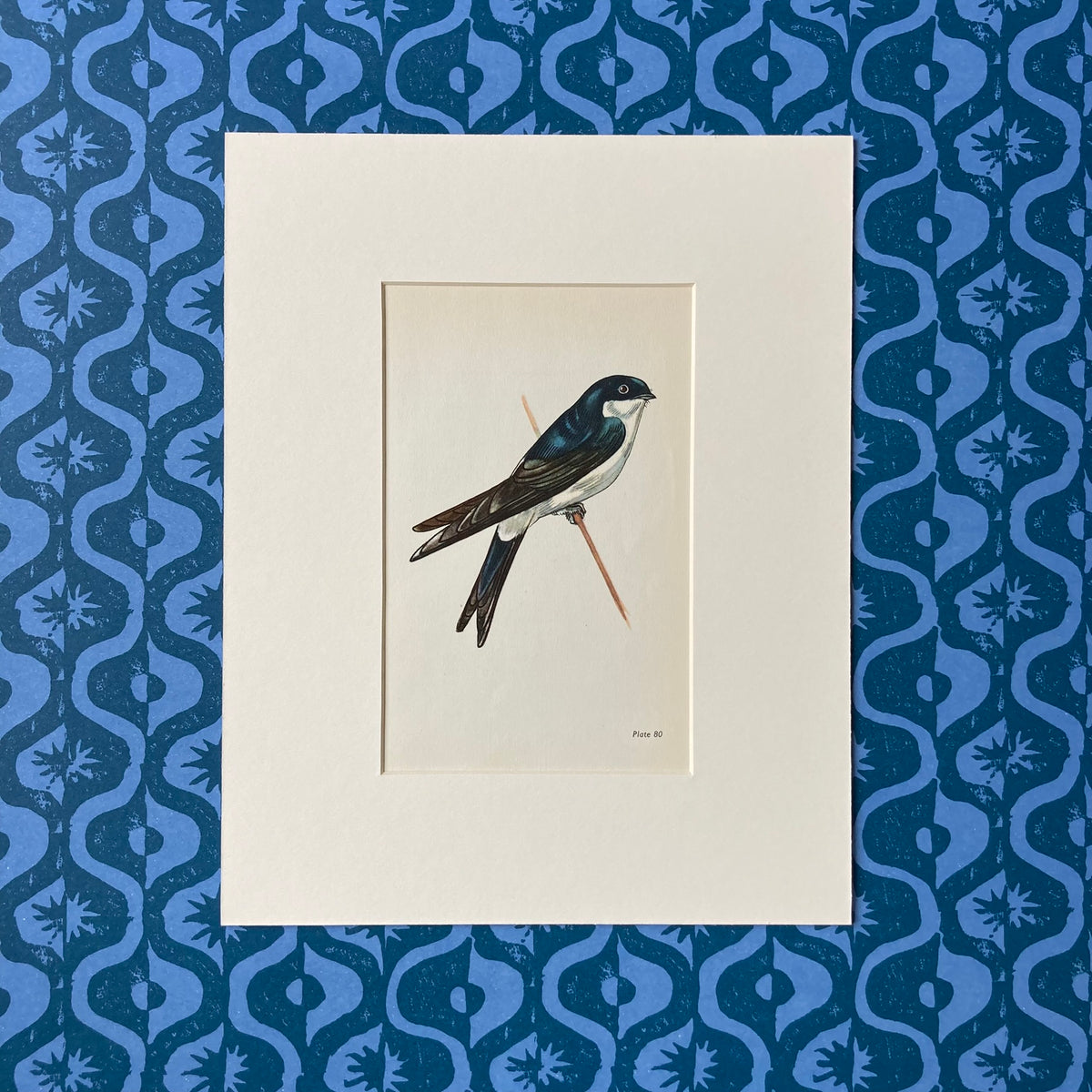 1960s House Martin Mounted Print ~ 10 x 12"