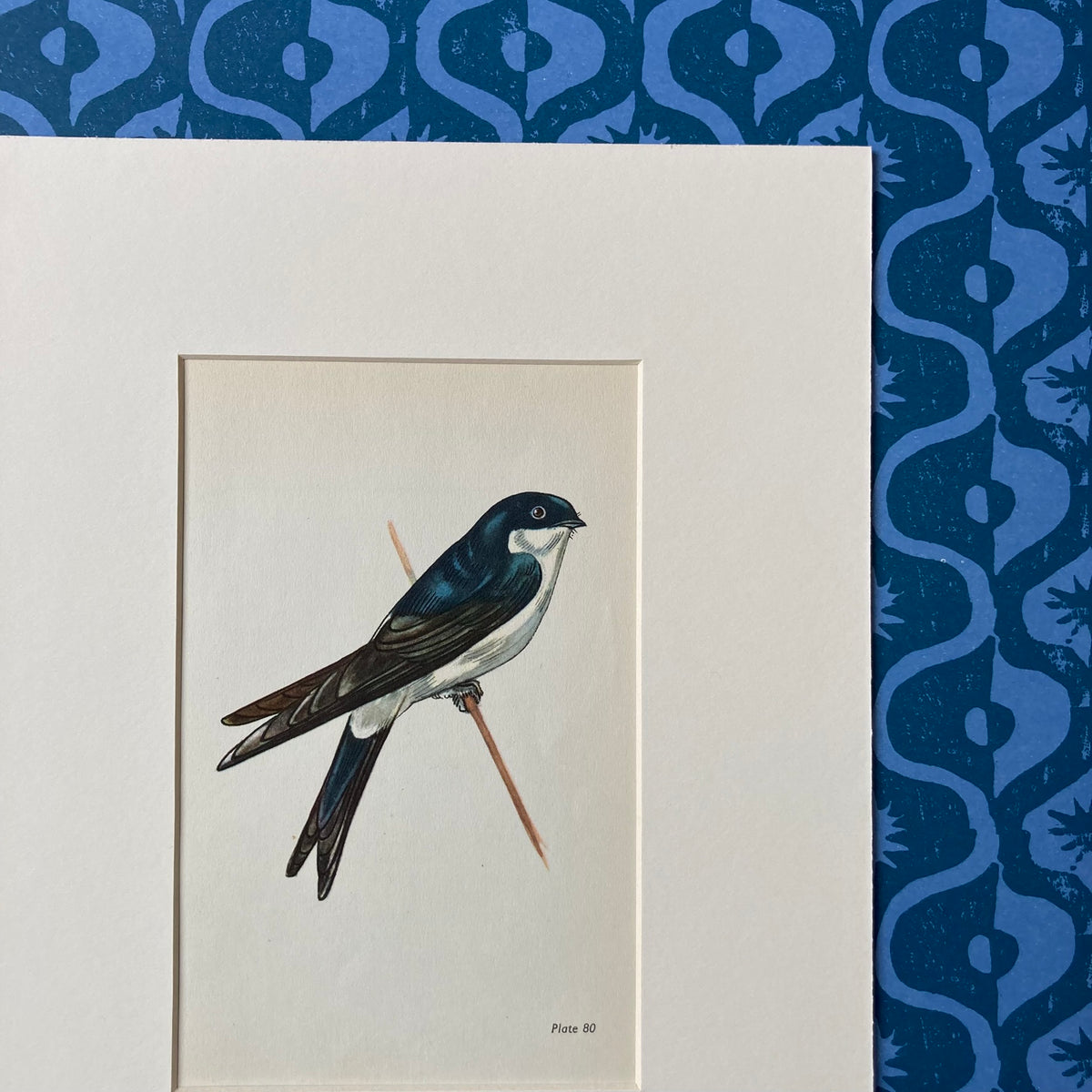 1960s House Martin Mounted Print ~ 10 x 12"