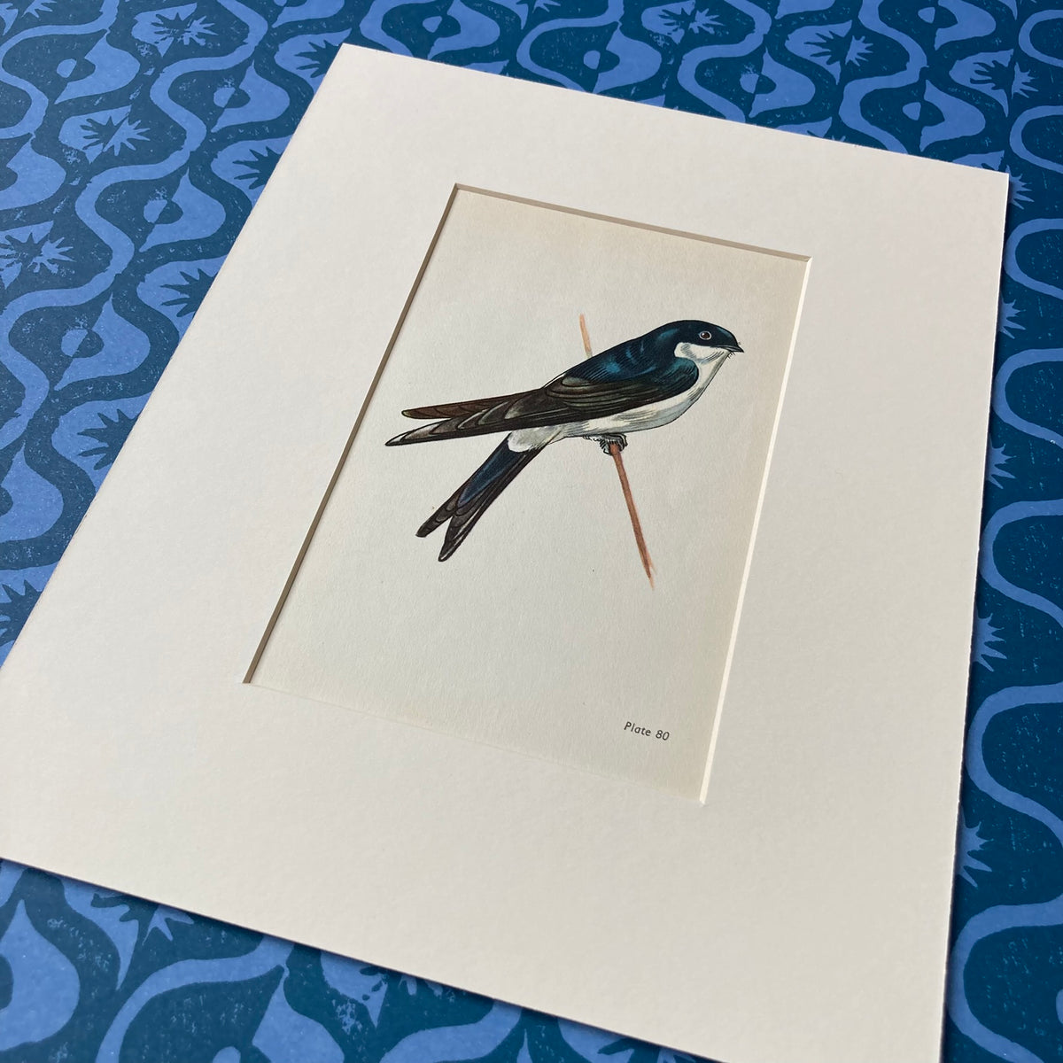 1960s House Martin Mounted Print ~ 10 x 12"
