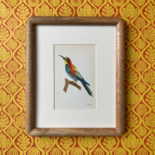 1960s Bee Eater Bird Mounted Print ~ 8 x 10"