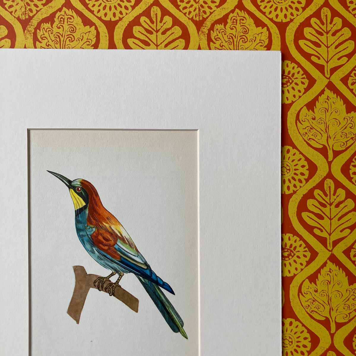 1960s Bee Eater Bird Mounted Print ~ 8 x 10"
