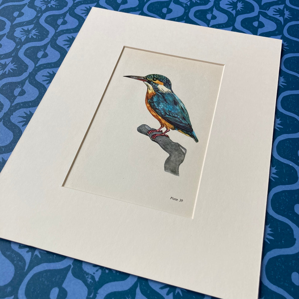 1960s Kingfisher Mounted Print ~ 8 x 10"