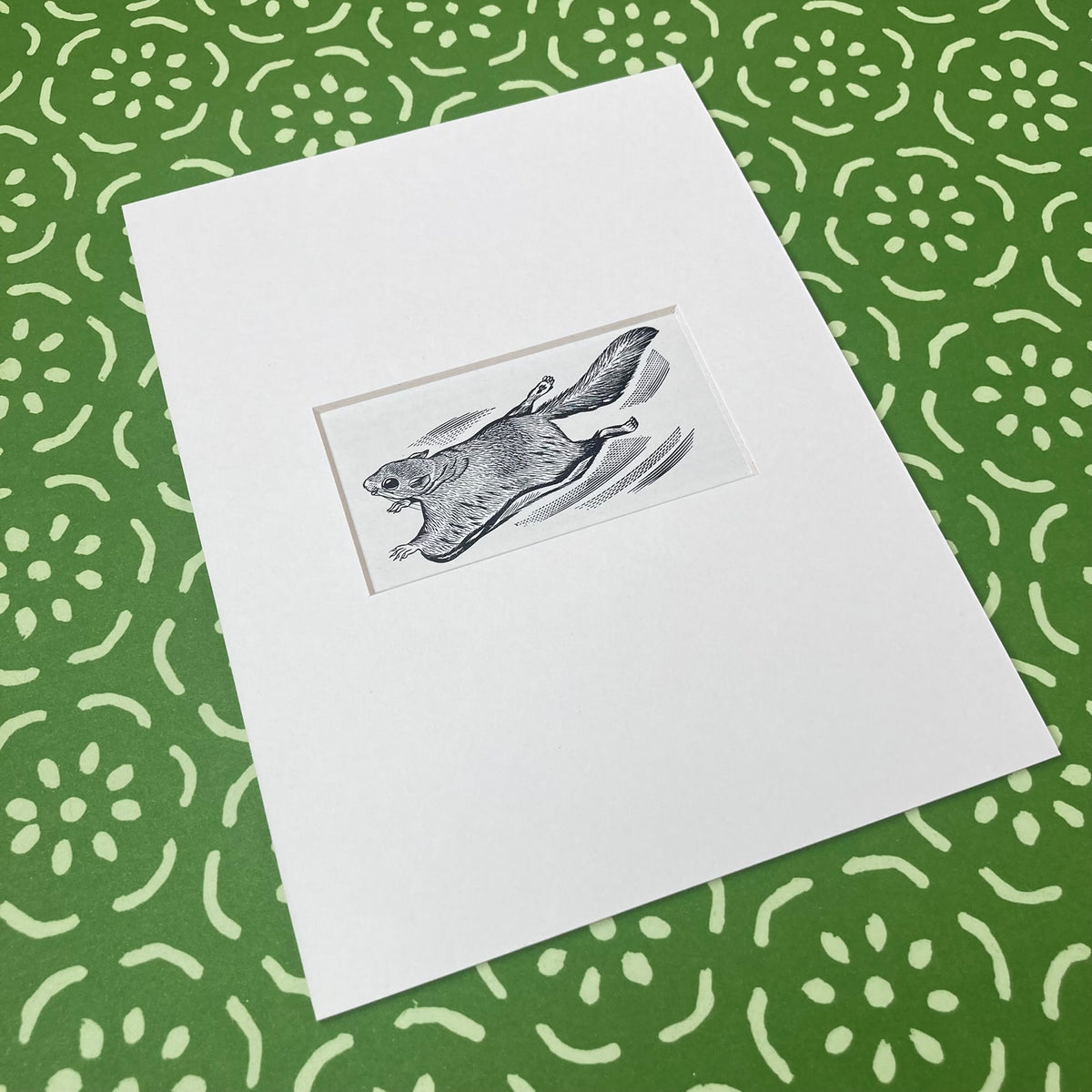 1960s Flying Squirrel Mounted Print ~ 8 x 6"