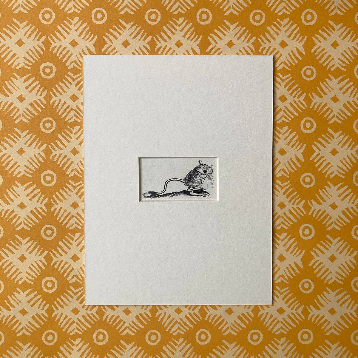 1960s Jerboa Mounted Print ~ 8 x 6"