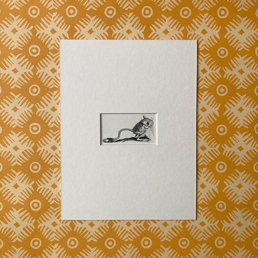 1960s Jerboa Mounted Print ~ 8 x 6"