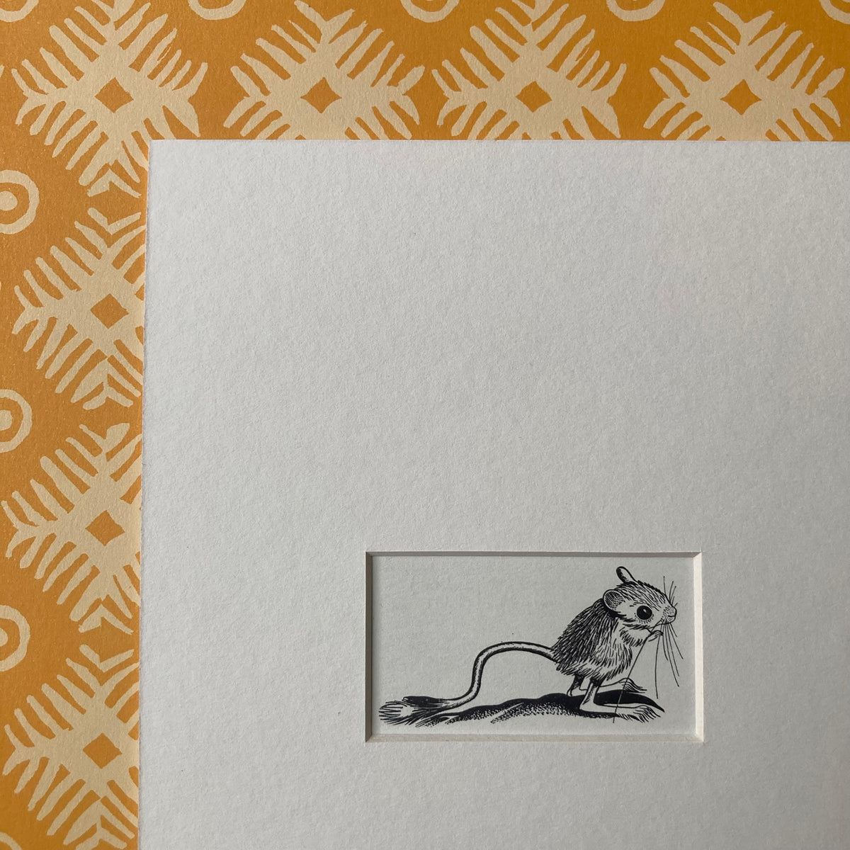 1960s Jerboa Mounted Print ~ 8 x 6"
