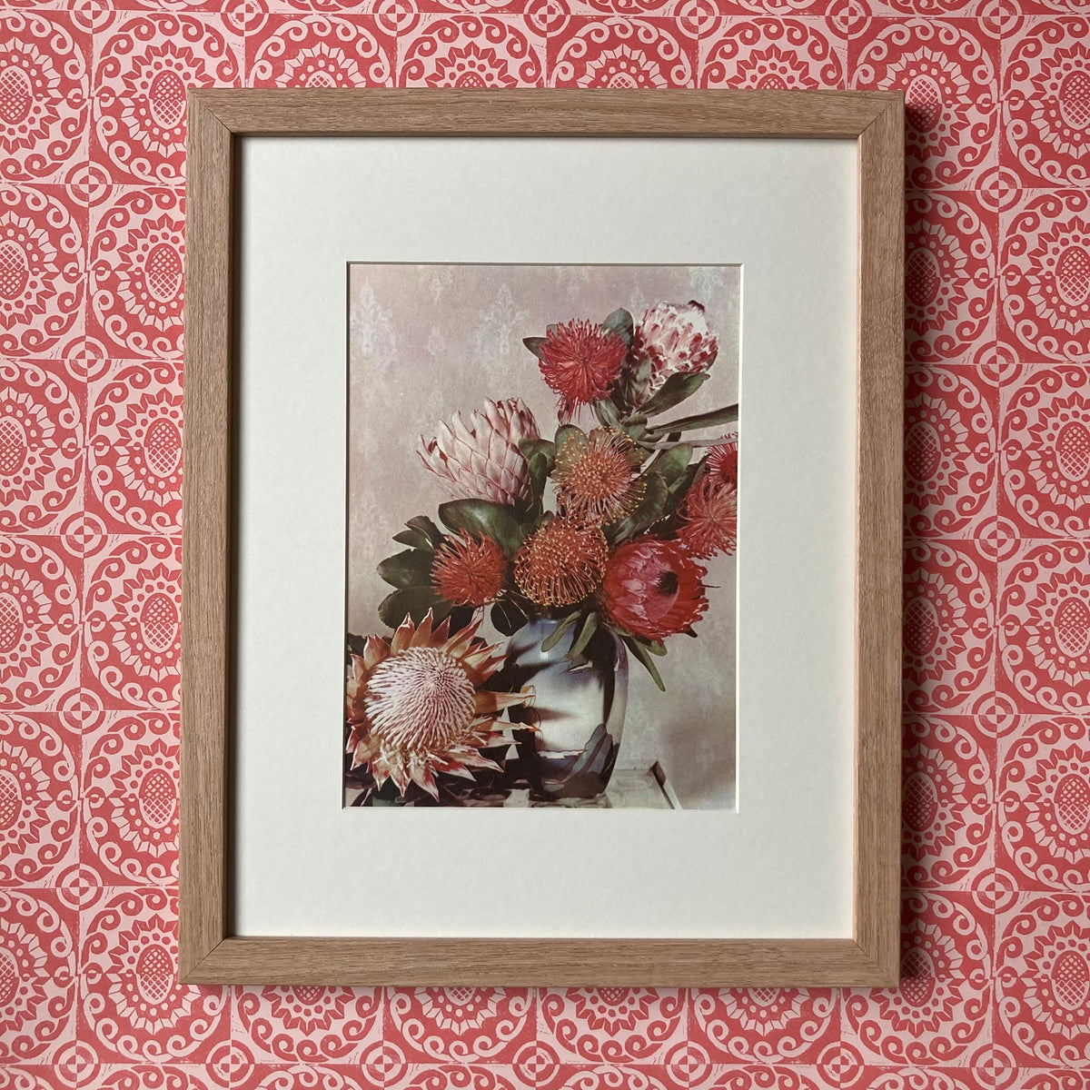 1960s Pink Protea Mounted Print ~ 11 x 14"