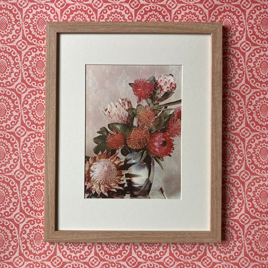 1960s Pink Protea Mounted Print ~ 11 x 14"