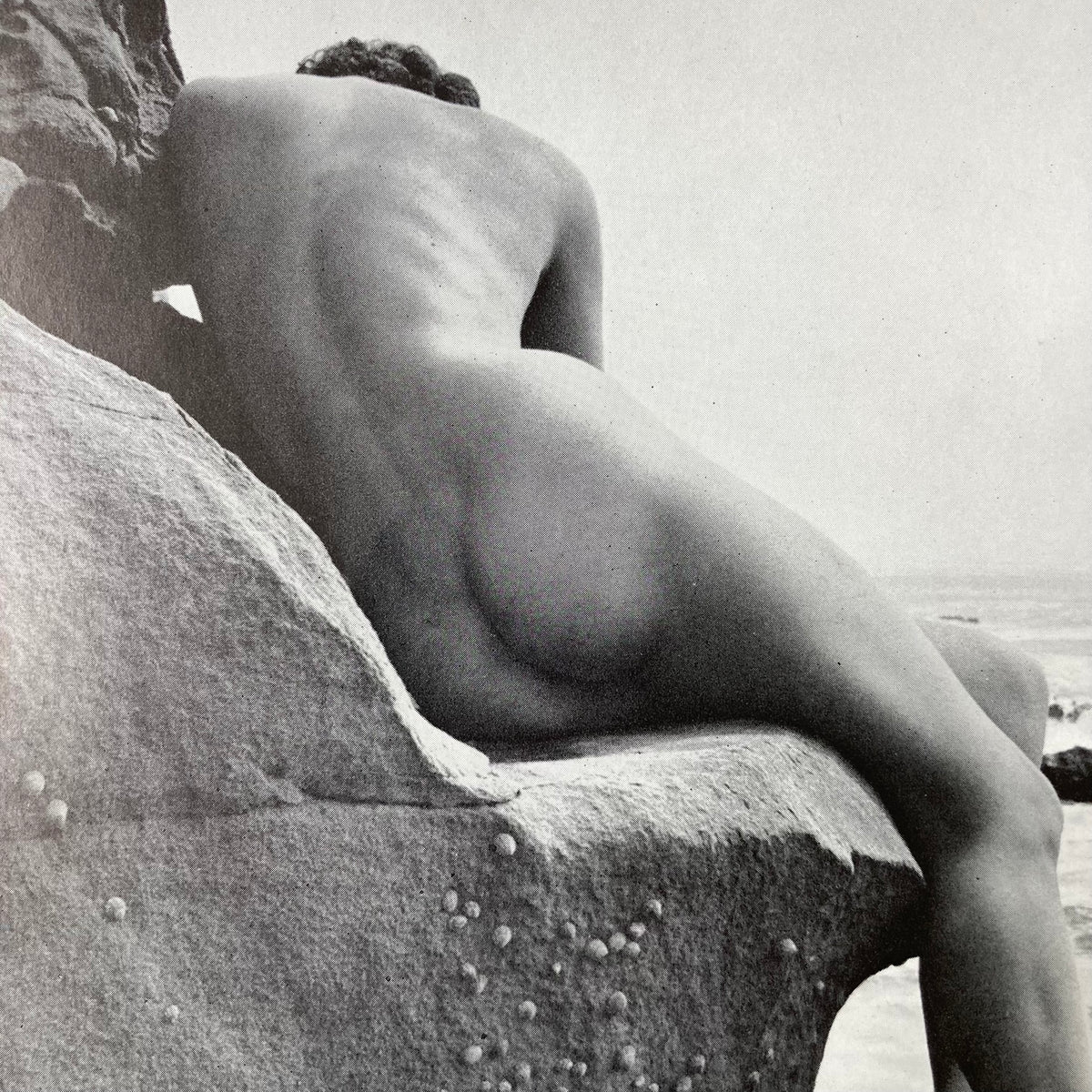 1960s Beach Nude Mounted Print ~ 11 x 14"