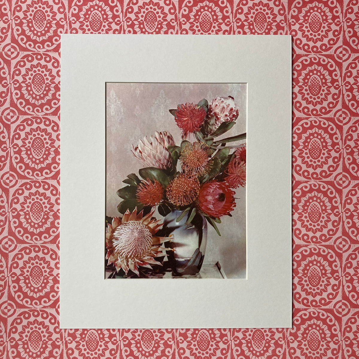 1960s Pink Protea Mounted Print ~ 11 x 14"