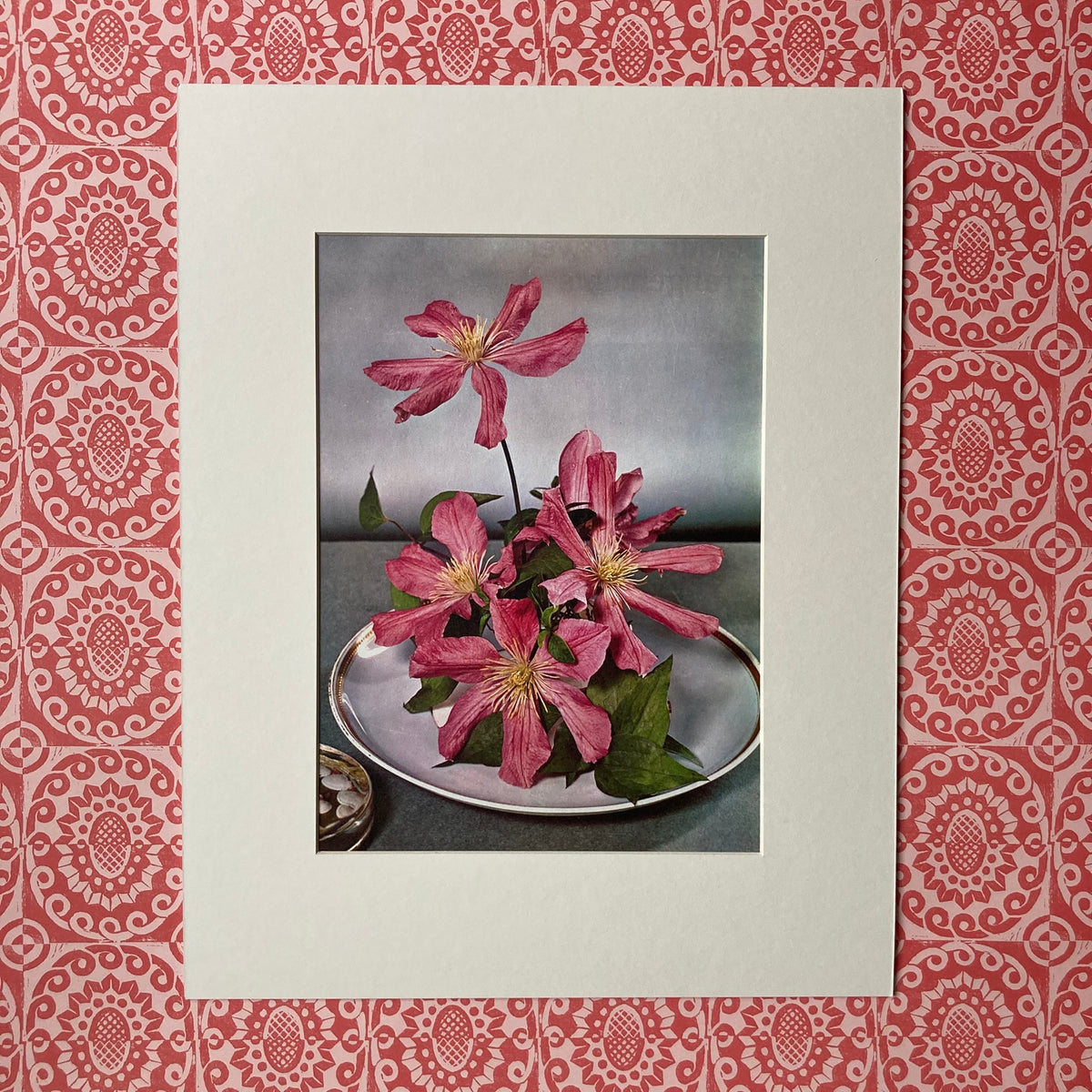 1960s Pink Clematis Mounted Print ~ 11 x 14"