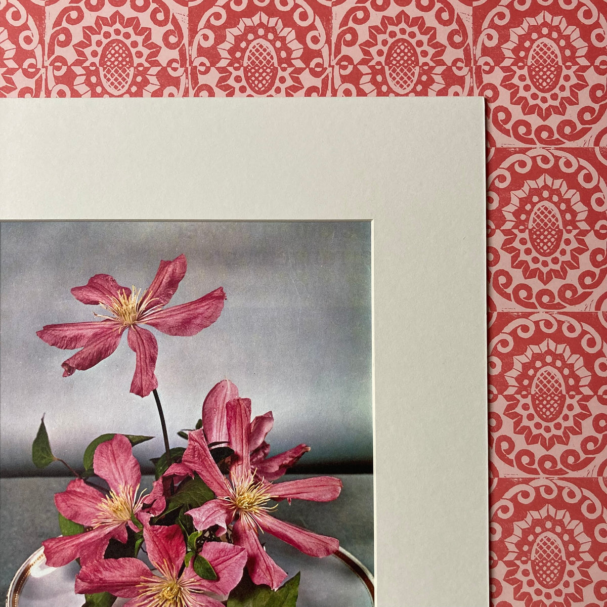 1960s Pink Clematis Mounted Print ~ 11 x 14"