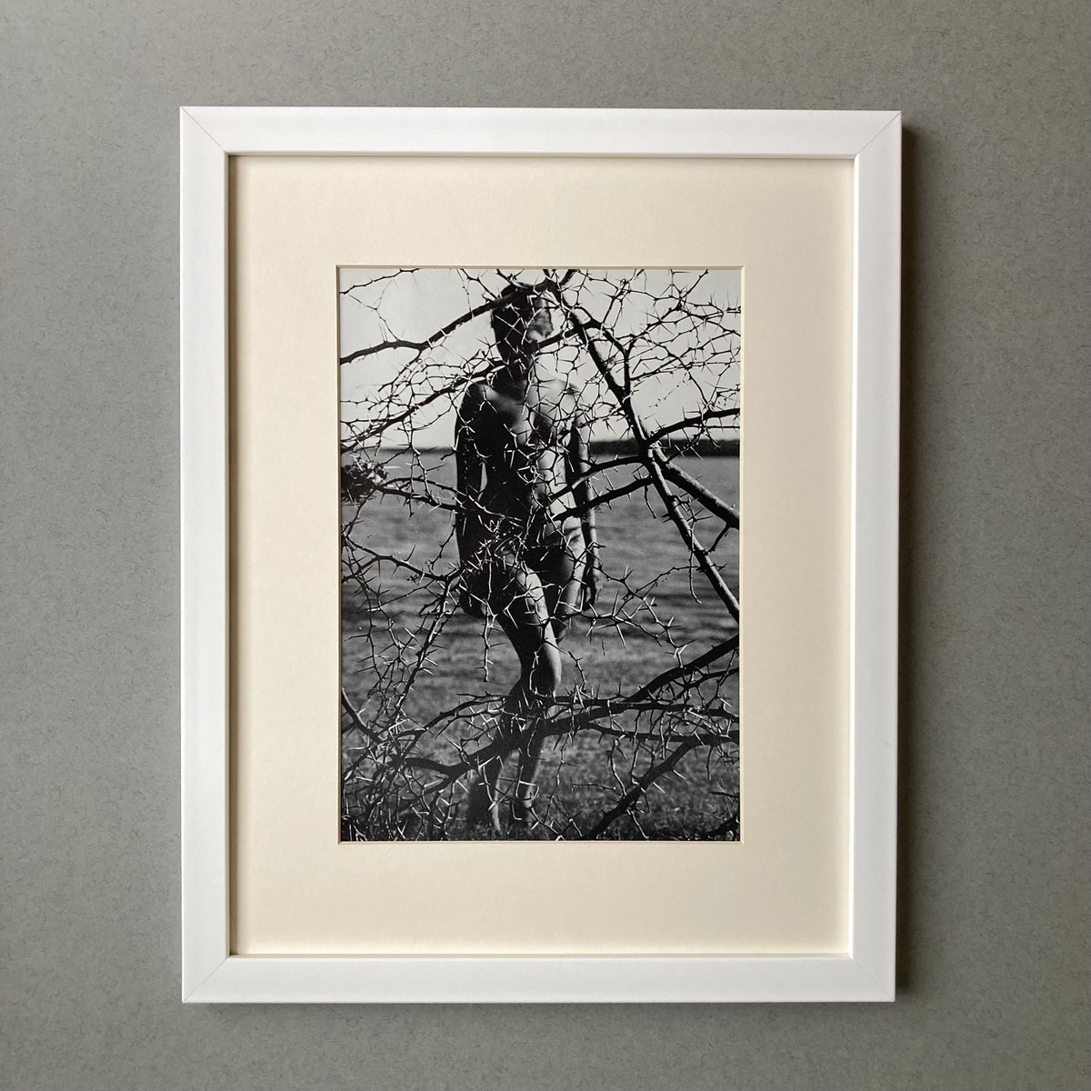 1960s Thorn Nude Mounted Print ~ 11 x 14"