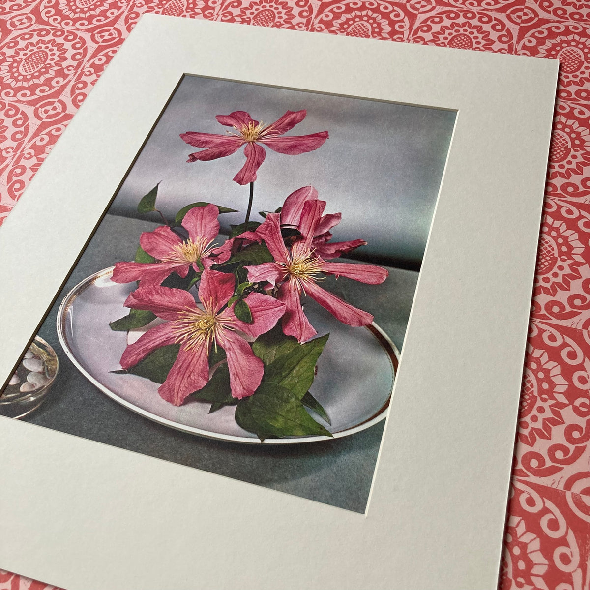 1960s Pink Clematis Mounted Print ~ 11 x 14"