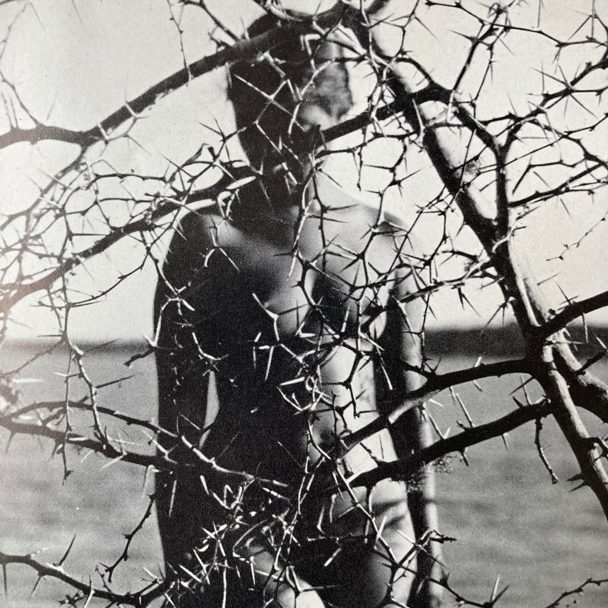 1960s Thorn Nude Mounted Print ~ 11 x 14"