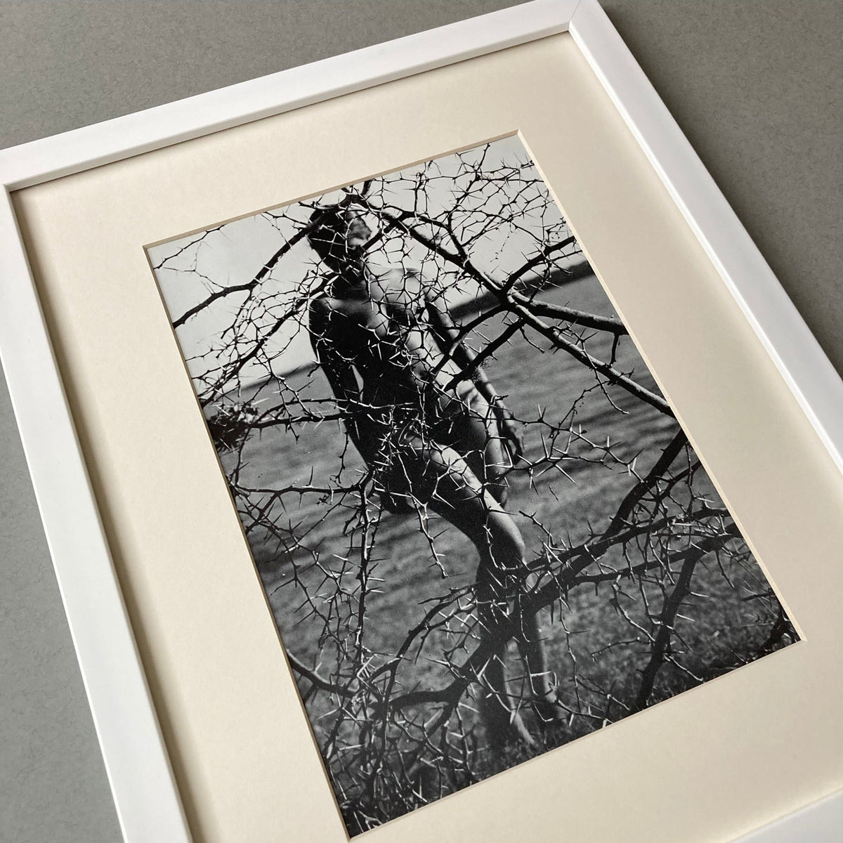 1960s Thorn Nude Mounted Print ~ 11 x 14"