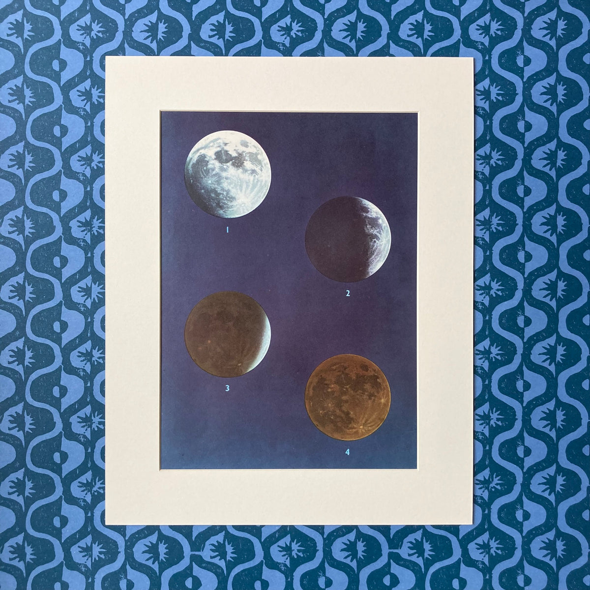 1960s Moon Phase Mounted Print ~ 11 x 14"