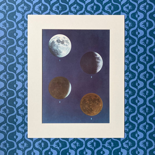 1960s Moon Phase Mounted Print ~ 11 x 14"