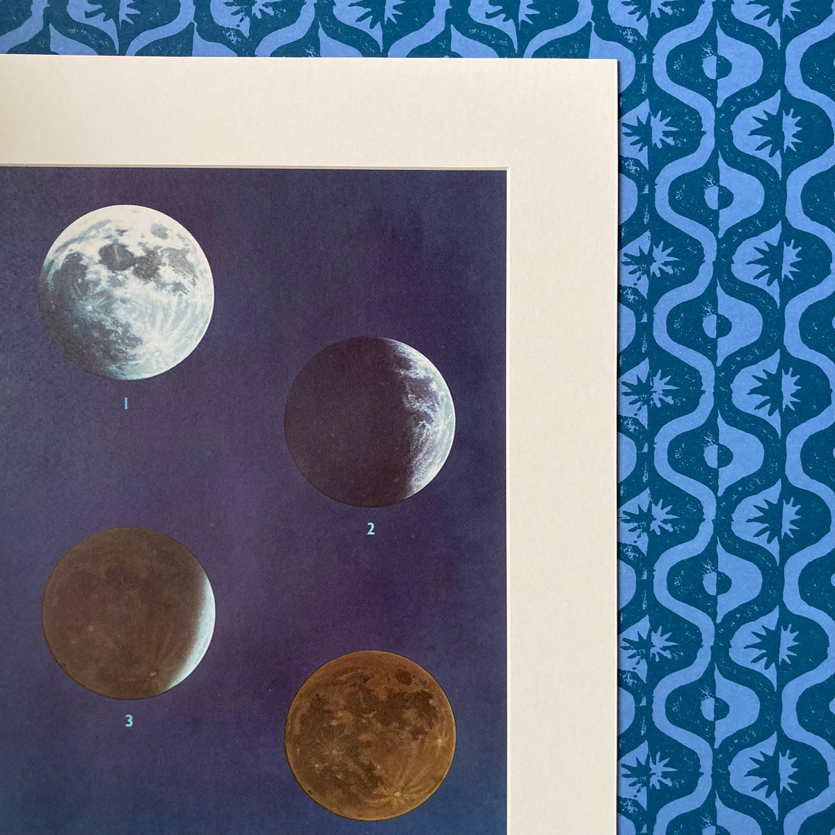 1960s Moon Phase Mounted Print ~ 11 x 14"