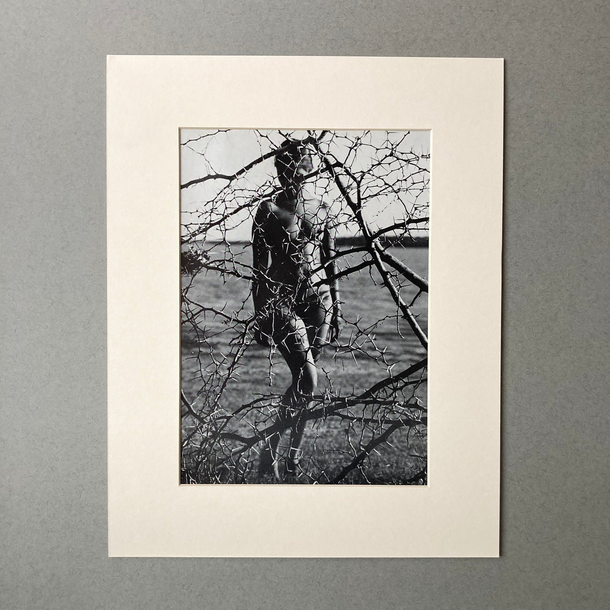 1960s Thorn Nude Mounted Print ~ 11 x 14"