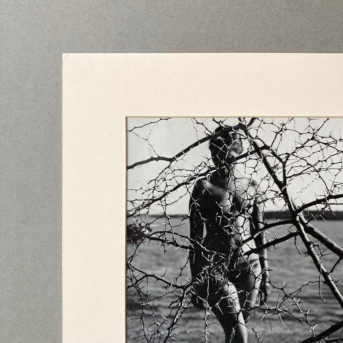 1960s Thorn Nude Mounted Print ~ 11 x 14"