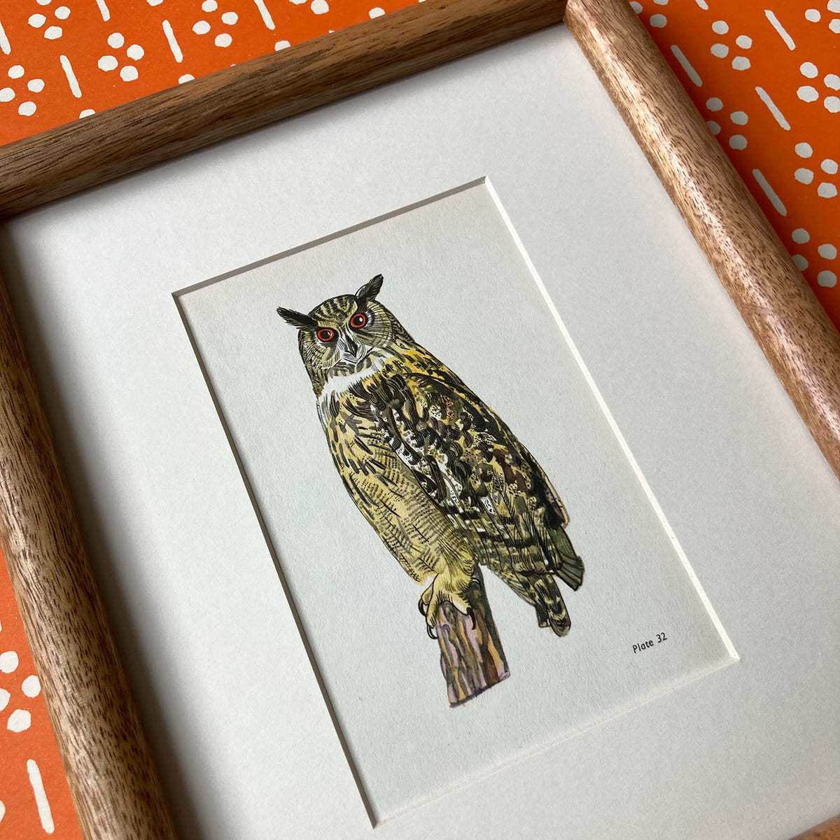 1960s Eagle Owl Mounted Print ~ 8 x 10"