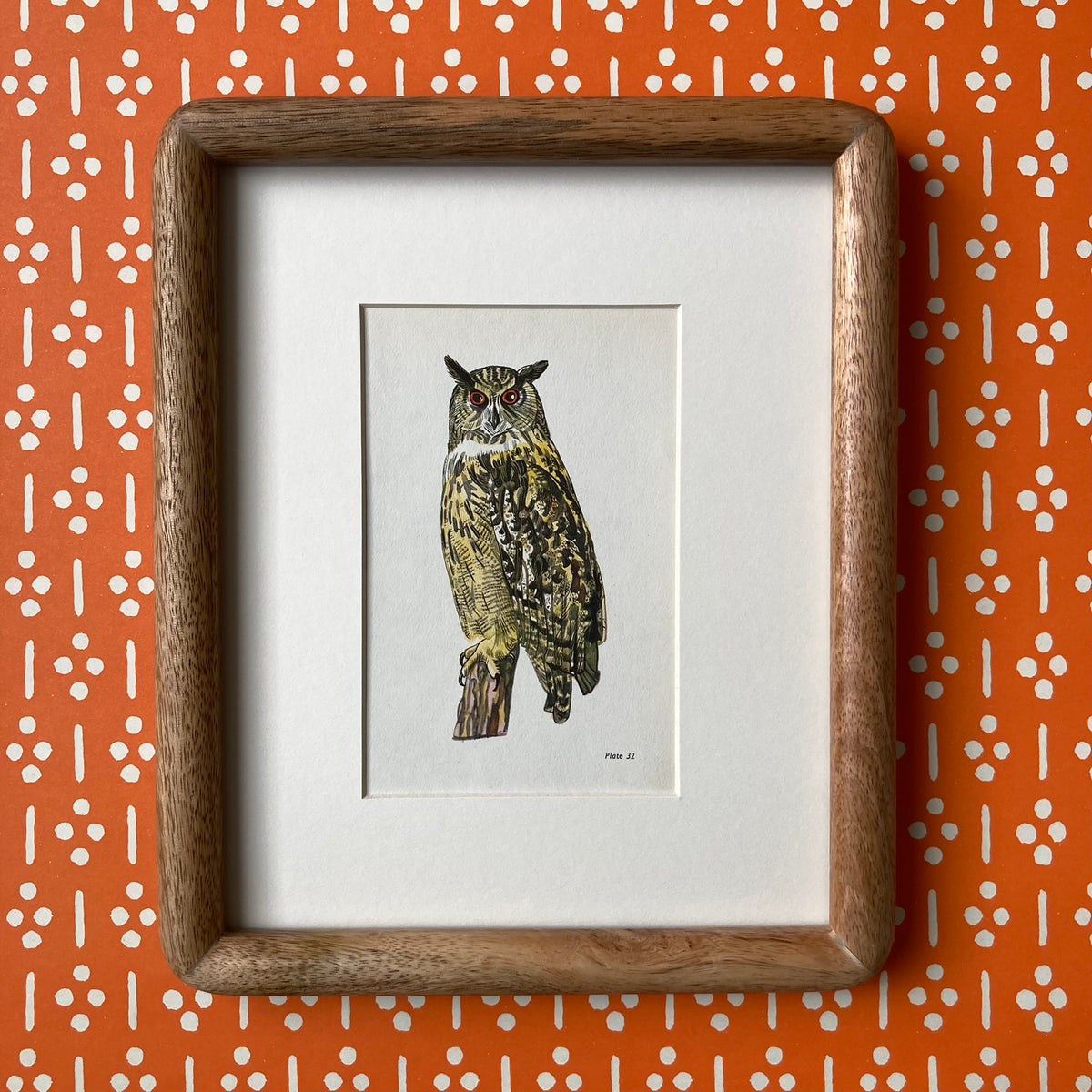 1960s Eagle Owl Mounted Print ~ 8 x 10"