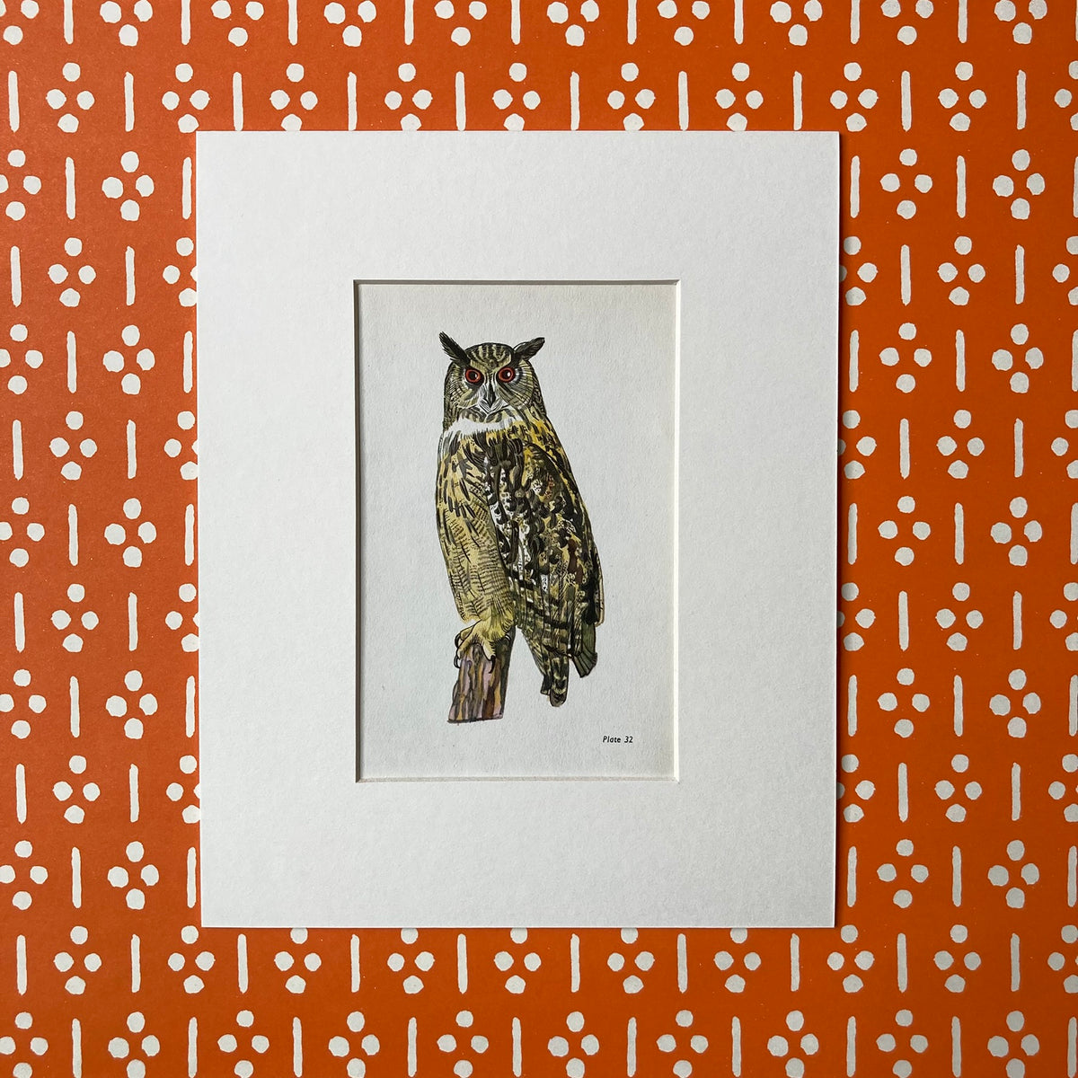 1960s Eagle Owl Mounted Print ~ 8 x 10"